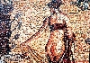 Paphos Mosaics