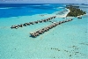 Birds View
